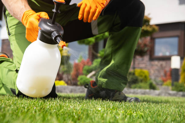 Best Pest Prevention Services  in Maumee, OH