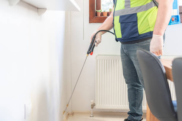 Best Local Pest Control Services  in Maumee, OH