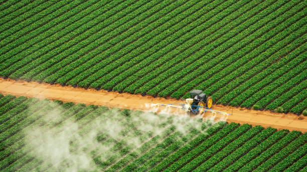 Best Pest Removal Services  in Maumee, OH