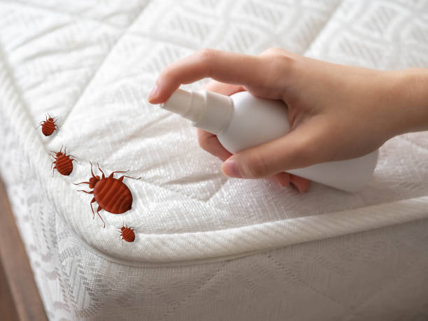 Best Residential Pest Control  in Maumee, OH